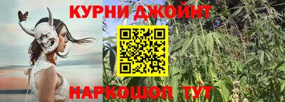гашик Ливны