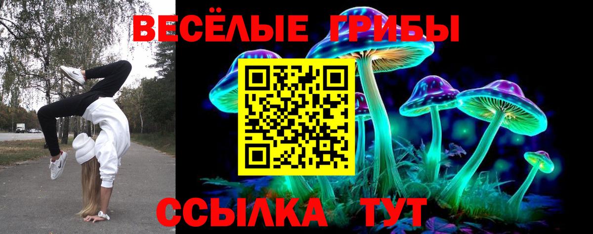 Псилоцибиновые грибы Psilocybe  Вход с VPN  Уварово  Псилоцибиновые грибы ЛСД 
